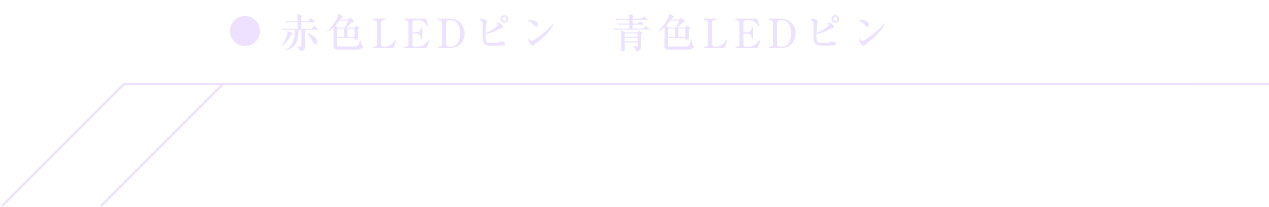 写真：イメージ1